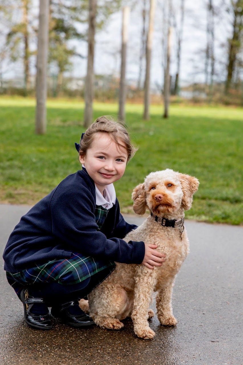 Skye the cockerpoo, fully trained School Therapy Dog, with primary school children
