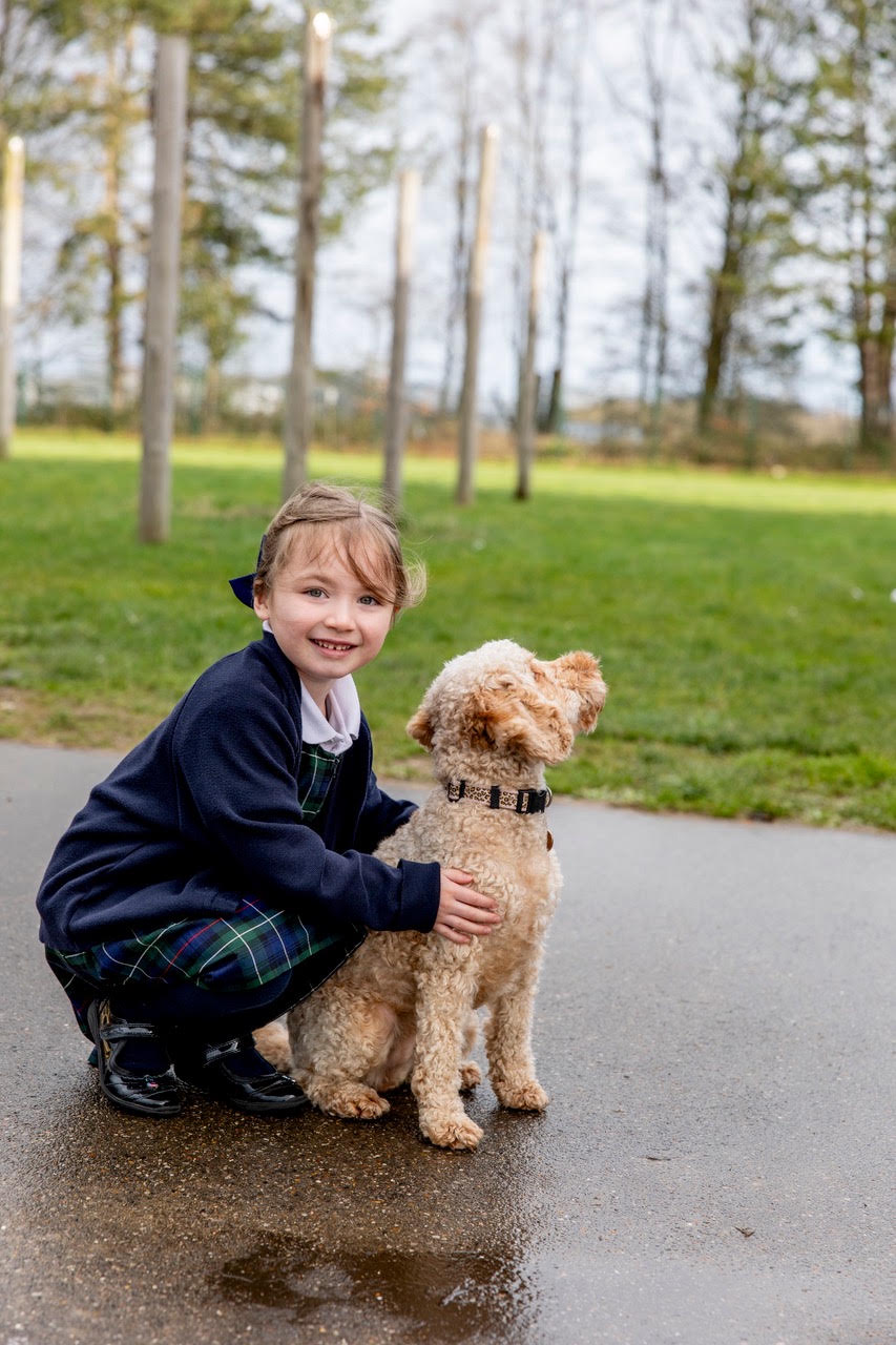 A pupil with Skye during a school visit