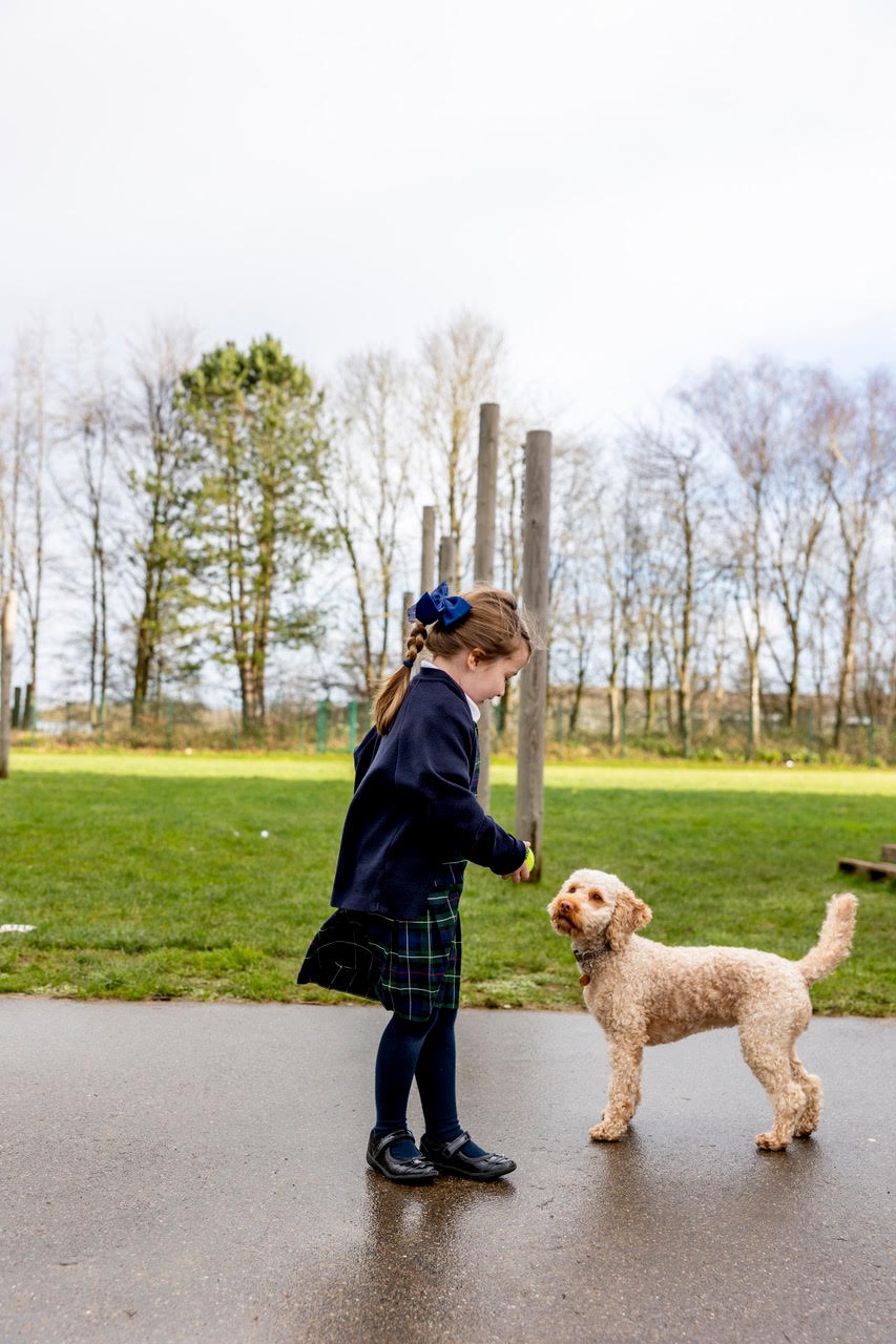 A pupil offering Skye her favourite ball