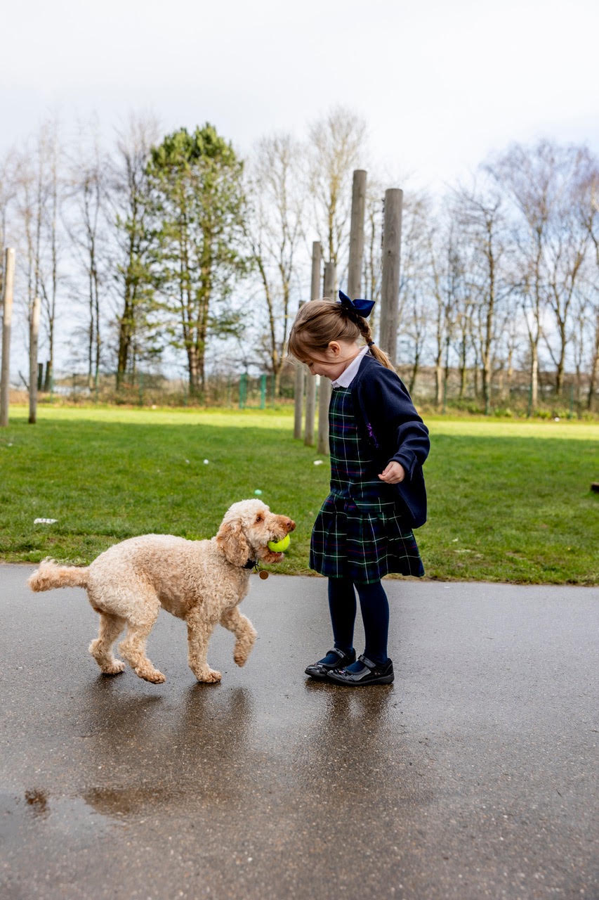 Skye playing fetch with a pupil