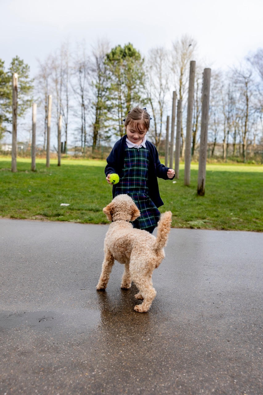 A pupil playing fetch with Skye