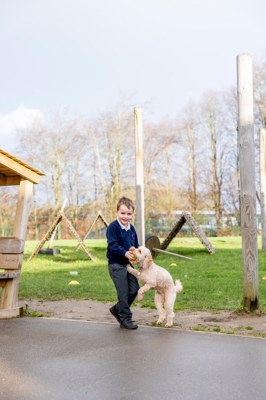 Skye jumping up to greet a pupil in the playground