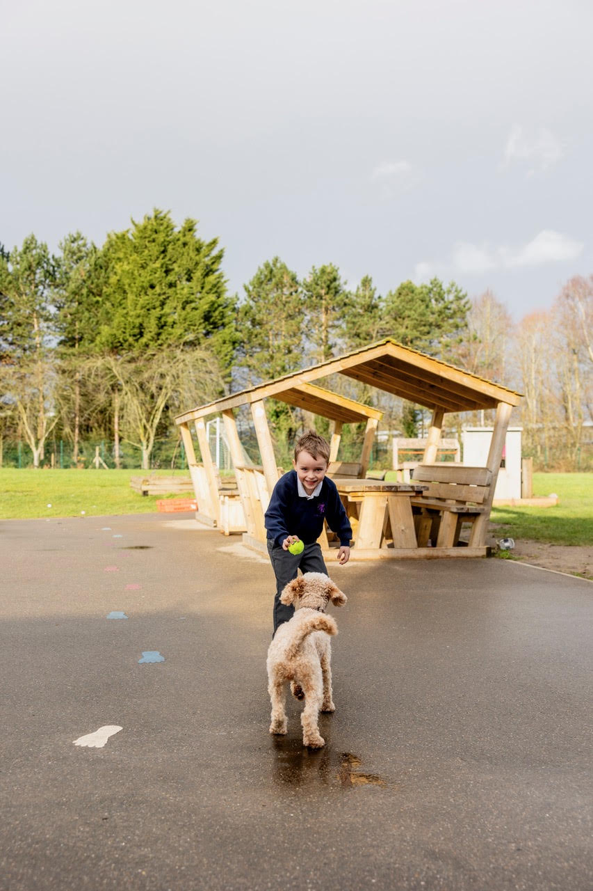 A pupil throwing a ball for Skye by the outdoor shelter