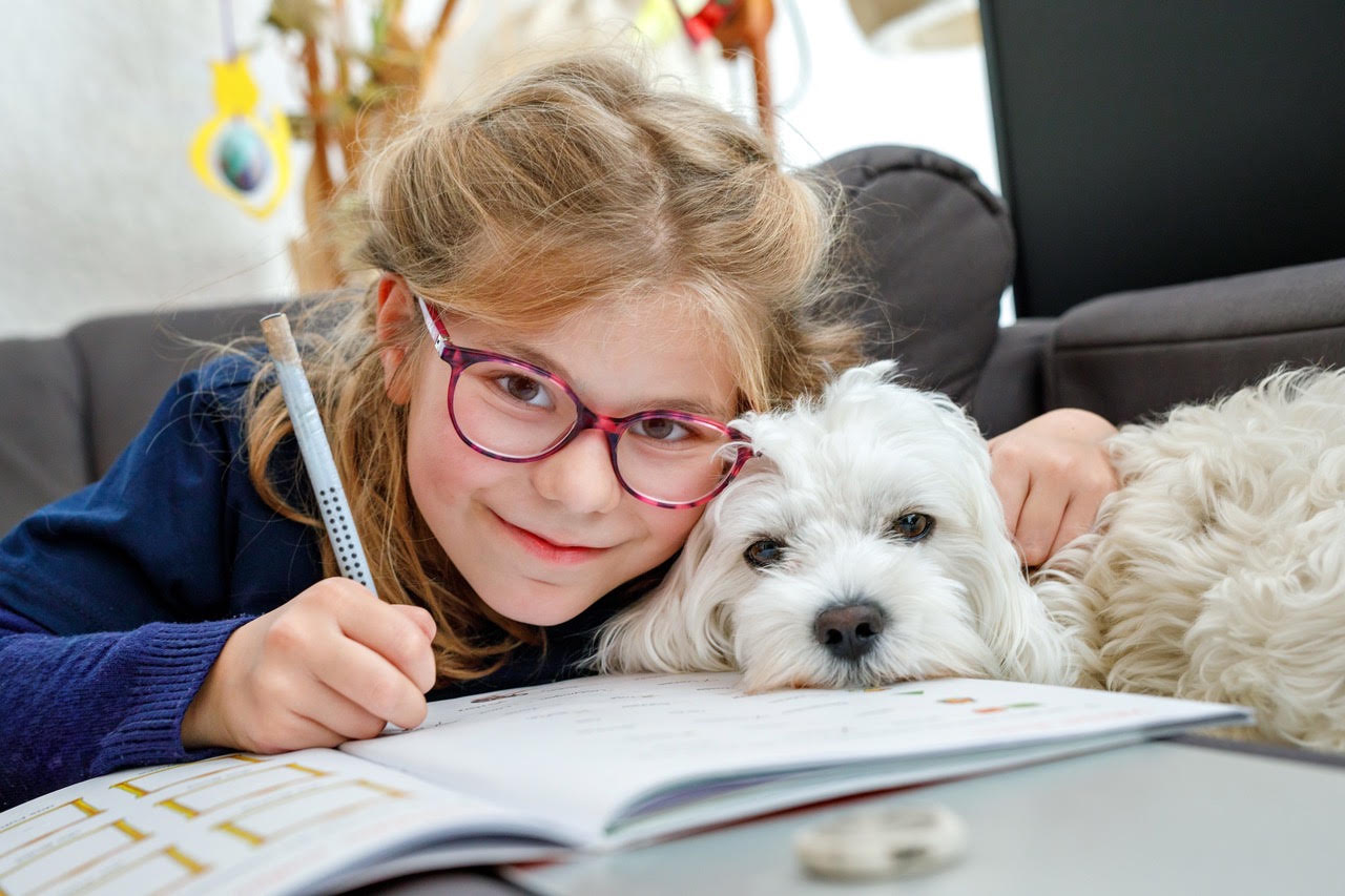 Student building reading confidence and literacy skills through therapy dog reading programme