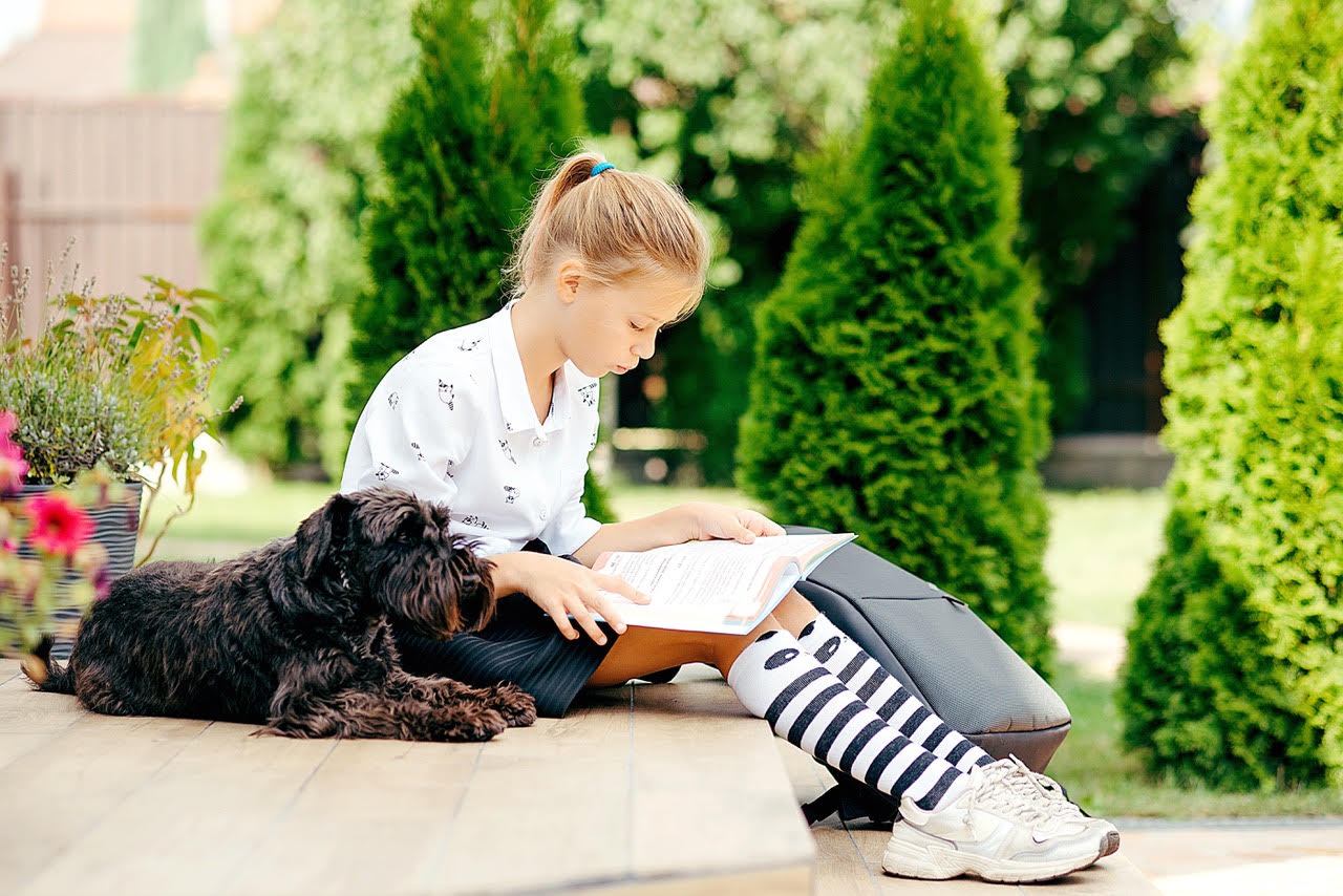 Therapy dog providing emotional support and anxiety reduction for student wellbeing in UK school