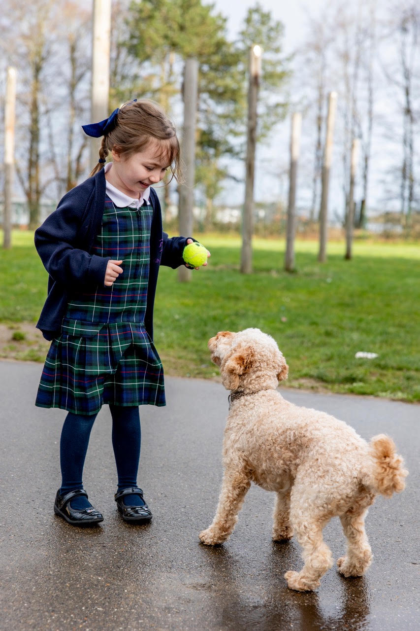 Skye sniffing a ball held up by a pupil
